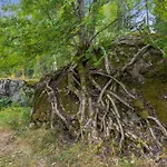 別荘 Hiidenlinna By Interhome Pitkälahti
