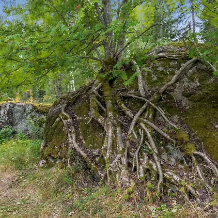 Dom wakacyjny Hiidenlinna By Interhome *