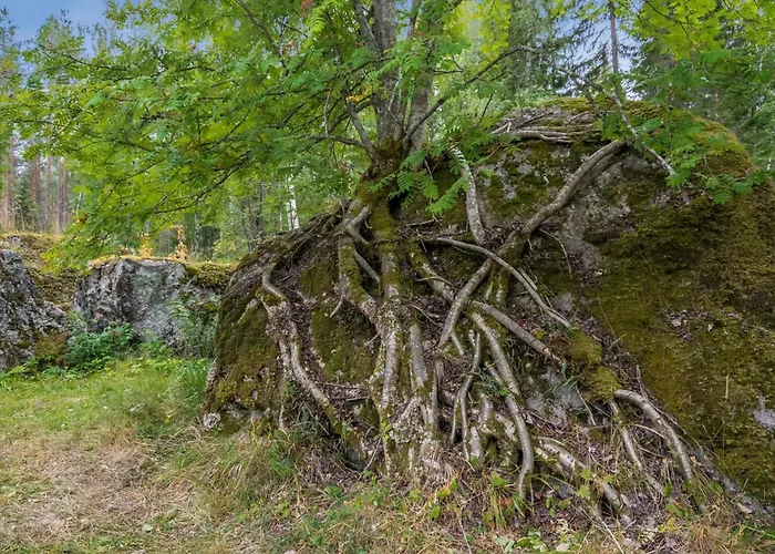 Дом отдыха Hiidenlinna By Interhome Pitkalahti